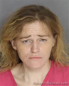 Mugshot of Kristianne Elisa Van Plantinga booked in Berkeley County, South Carolina on May 25, 2026