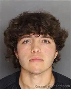 Mugshot of Matheus Henrique Vila-Verde-Melo booked in Berkeley County, South Carolina on October 8, 2026