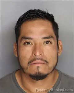 Mugshot of Nery Sanchez Velasco booked in Berkeley County, South Carolina on August 14, 2026