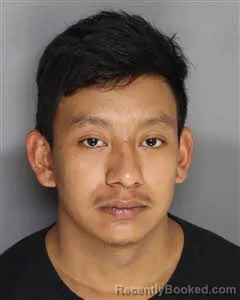 Mugshot of Roger Everaldo Vasques-Pineda booked in Berkeley County, South Carolina on September 20, 2026