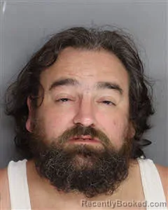 Mugshot of Stephen Anthony Veronee booked in Berkeley County, South Carolina on August 5, 2026