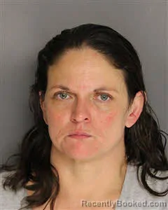 Mugshot of Amy Lou Willis