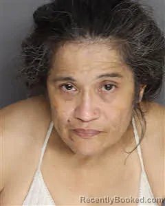 Mugshot of Cheryl Elaine Whitener booked in Berkeley County, South Carolina on July 2, 2026
