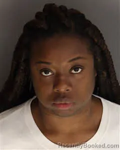 Mugshot of Destiny La'Quana Williams booked in Berkeley County, South Carolina on April 24, 2026
