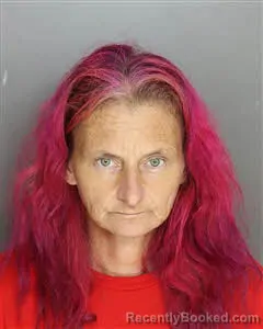 Mugshot of Heather Ann Wells booked in Berkeley County, South Carolina on September 23, 2026