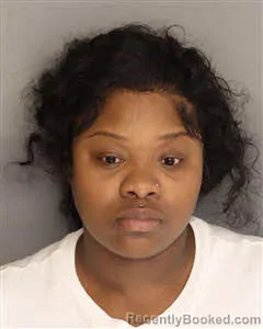 Mugshot of Kristy M Williams
