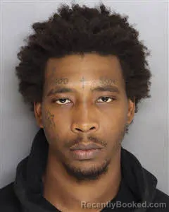 Mugshot of Nijel Traelik Wilson booked in Berkeley County, South Carolina on July 7, 2026