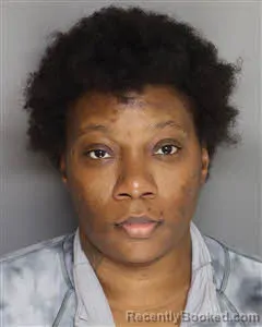 Mugshot of Rayvonne Donette Wright booked in Berkeley County, South Carolina on August 12, 2026