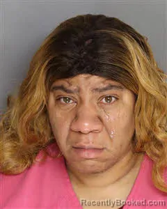 Mugshot of Amanda Deann Young booked in Berkeley County, South Carolina on June 27, 2026