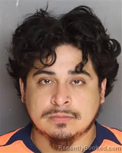 Mugshot of Derek Isaias Zelaya booked in Berkeley County, South Carolina on July 5, 2026
