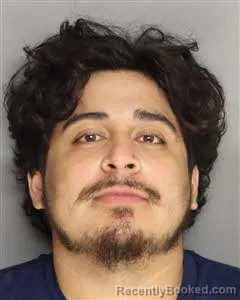 Mugshot of Derek Isaias Zelaya booked in Berkeley County, South Carolina on July 9, 2026