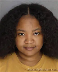 Mugshot of Keairra Sade Middleton-Weaver booked in Berkeley County, South Carolina on July 2, 2026