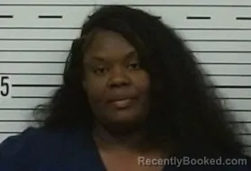 Mugshot of NIKKI THOMAS
