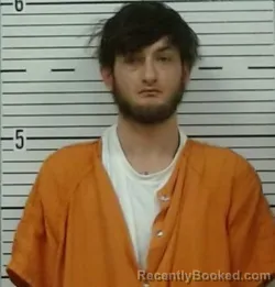 Mugshot of MATTHEW DISON