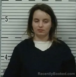 Mugshot of LISA DENNIS