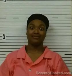 Mugshot of VICTORIA JOHNSON