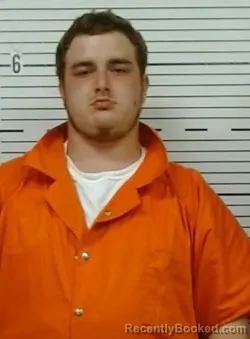 Mugshot of DALLAS WILLIAMSON