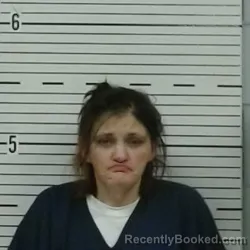 Mugshot of HEATHER BERGERON