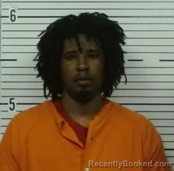 Mugshot of ERICK BLEVINS