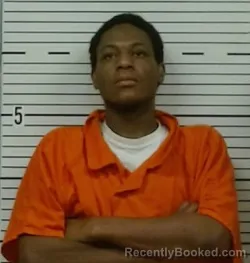 Mugshot of DIMITRI WORKS