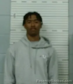 Mugshot of DECAMERION FAULK booked in Lowndes County, Alabama on March 19, 2026