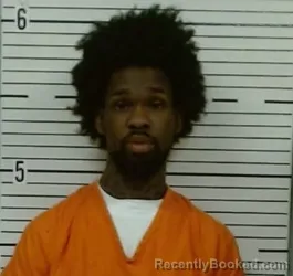 Mugshot of MICHEAL LASSITER booked in Lowndes County, Alabama on March 20, 2026