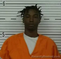 Mugshot of CAMERON MCGHEE booked in Lowndes County, Alabama on March 24, 2026