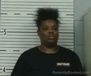 Mugshot of TYSHAE ANDERSON booked in Lowndes County, Alabama on April 1, 2026