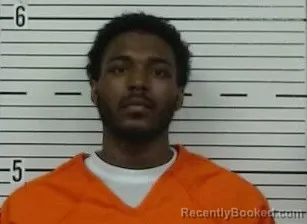 Mugshot of AARION TAYLOR booked in Lowndes County, Alabama on July 7, 2026