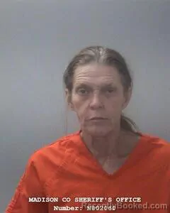 Mugshot of TAMMY L HILLIS