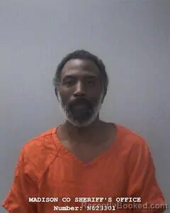 Mugshot of MICHAEL L ROBINSON