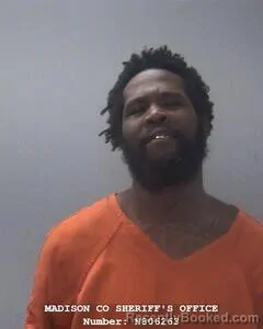 Mugshot of TAVARIS D LANIER