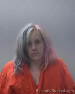 Mugshot of Shannon N Eggerd booked in Madison County, Alabama on August 20, 2026