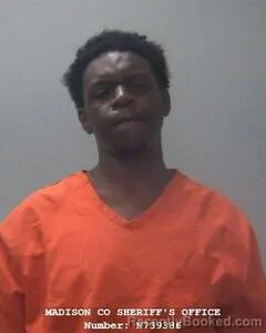 Mugshot of RYAN L LEWIS