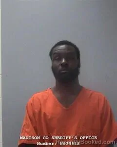 Mugshot of MICHAEL T WILLIAMS