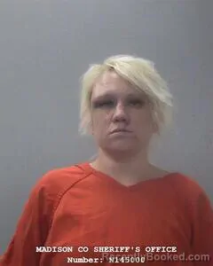Mugshot of BRIANA M LEWIS