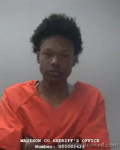 Mugshot of JASMINE R CASHIN