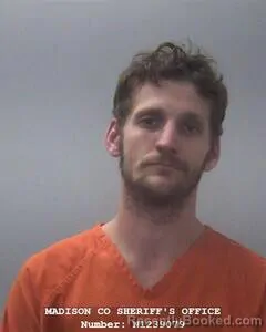 Mugshot of JACOB D SHELTON