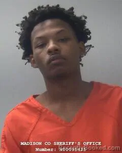 Booking photo from Madison County, Alabama