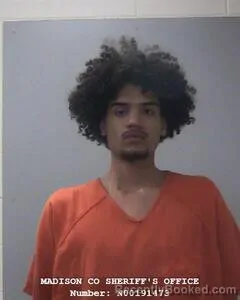 Mugshot of HOUSTON M MITCHELL