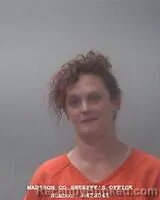 Mugshot of JESSICA ANN ARROYO