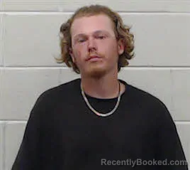 Mugshot of Zayne White booked in Marion County, Alabama on August 9, 2026