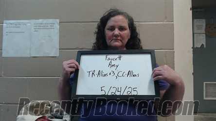 Booking photo from Marion County, Alabama