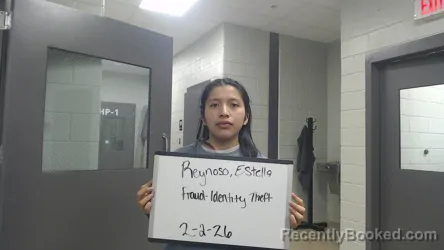 Mugshot of ESTELLA REYNOSO