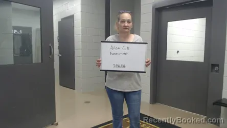 Mugshot of ALISA GILL