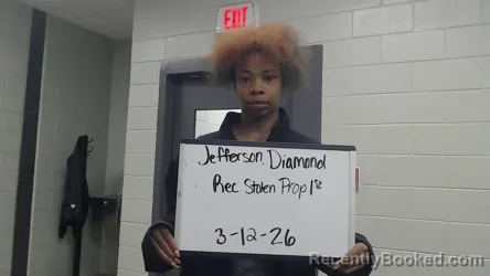 Mugshot of DIAMOND JEFFERSON