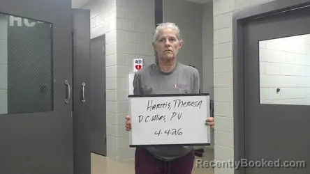 Mugshot of THERESA HARRIS booked in Marion County, Alabama on April 4, 2026