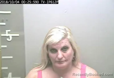 Mugshot of DIANE MICHELLE SIMS