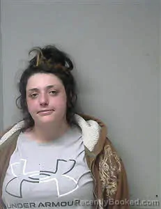 Mugshot of Kimberly Nicole Heflin