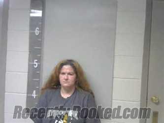 Booking photo from Marshall County, Alabama